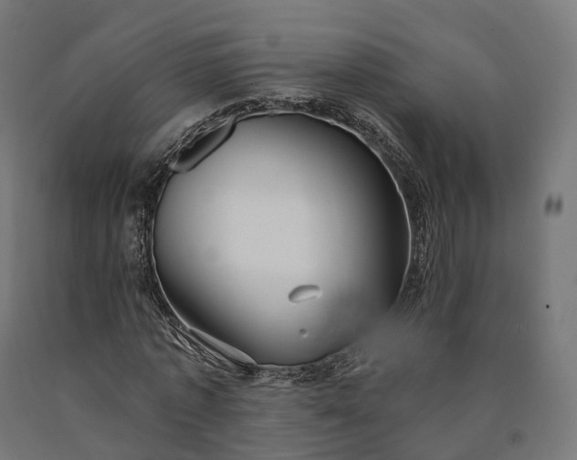 X0000090770773200708031652