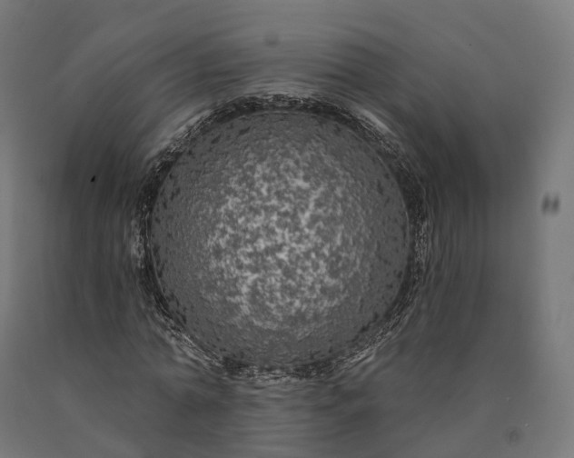 X0000090770774200708031652