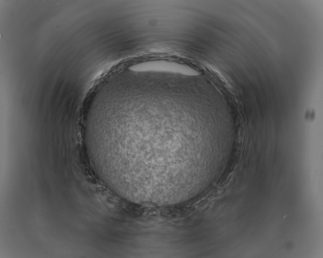 X0000090770776200708031652