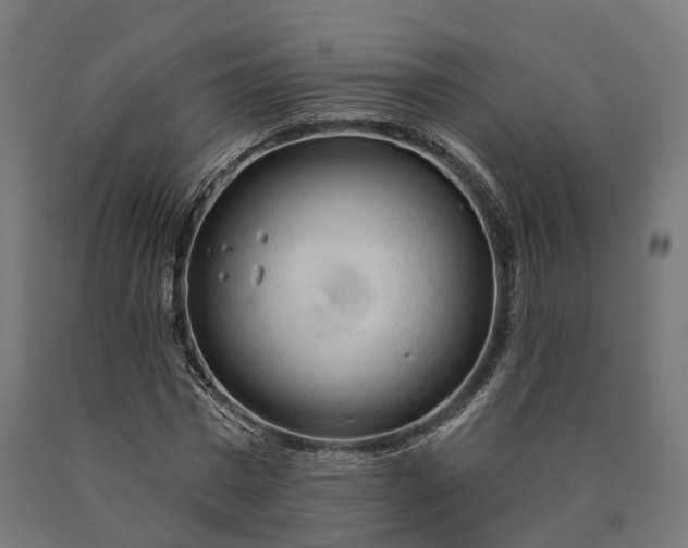 X0000090770777200708031652