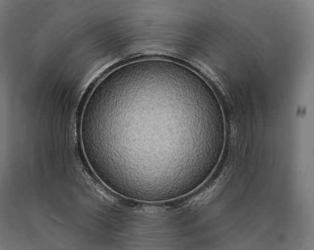 X0000090770782200708031652
