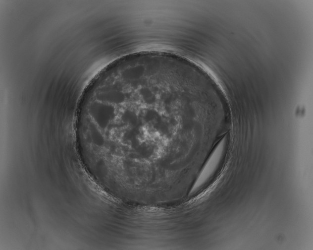 X0000090770783200708031652