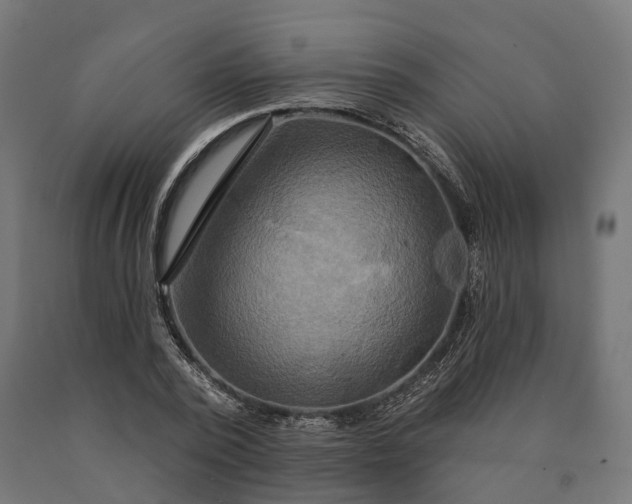 X0000090770784200708031652