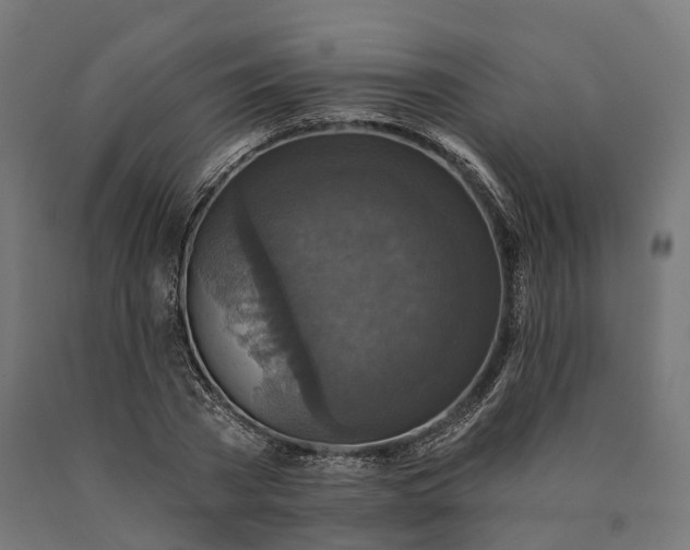 X0000090770785200708031651