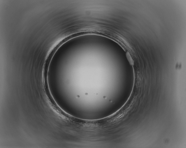 X0000090770788200708031651