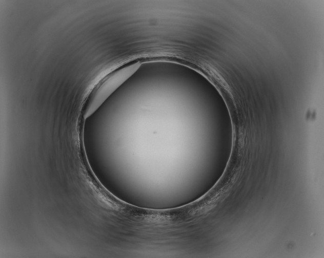 X0000090770789200708031651