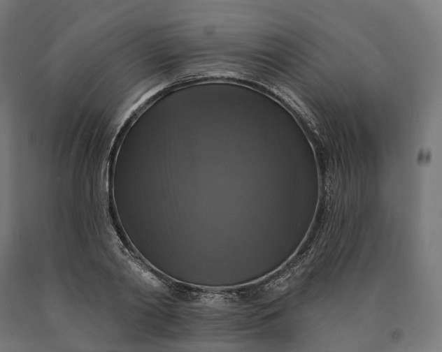 X0000090770790200708031651