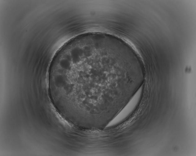 X0000090770791200708031651