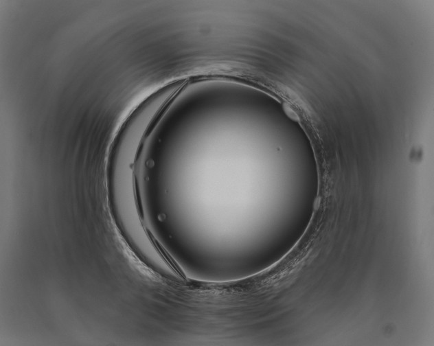 X0000090770792200708031651