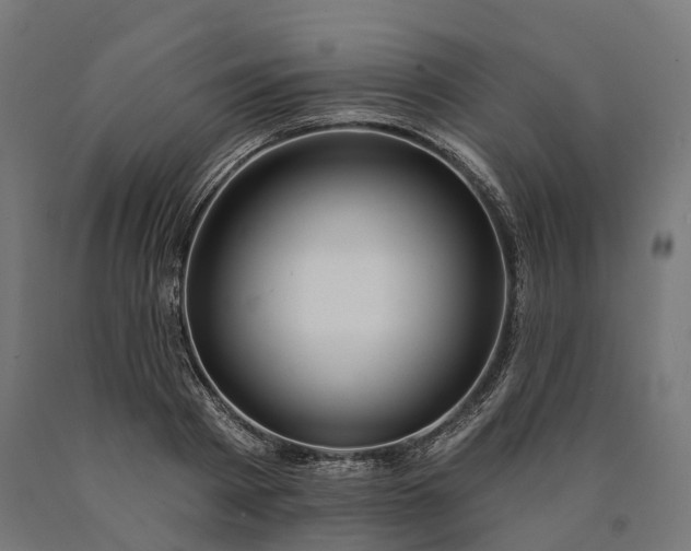 X0000090770793200708031651