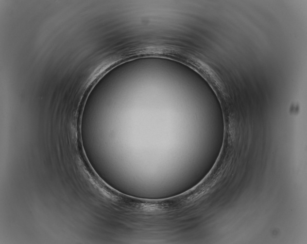 X0000090770794200708031651