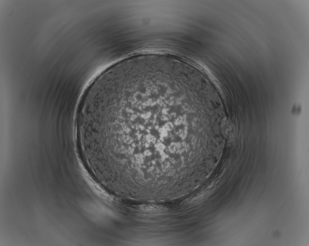 X0000090770795200708031651