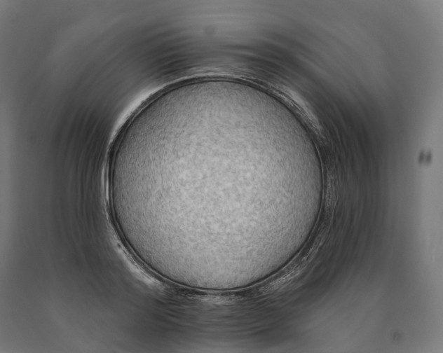 X0000090770796200708031651