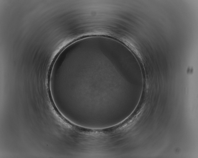 X0000090770797200708031651