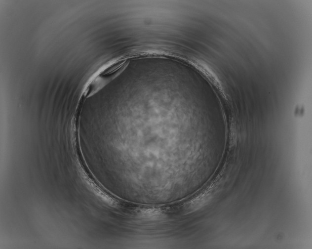 X0000090770798200708031651