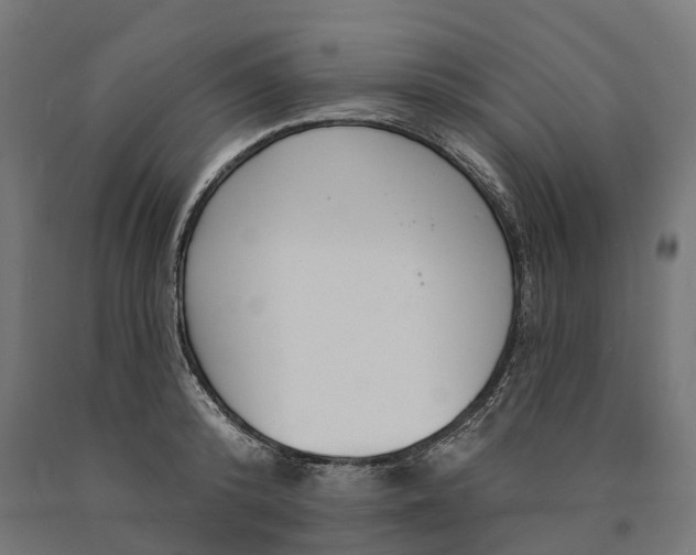 X0000090770800200708031651