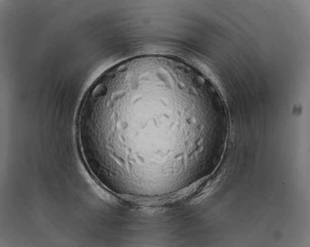 X0000090770803200708031651
