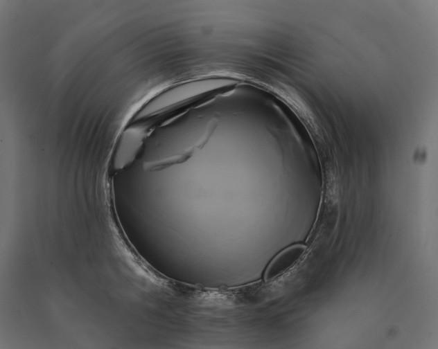 X0000090770806200708031651