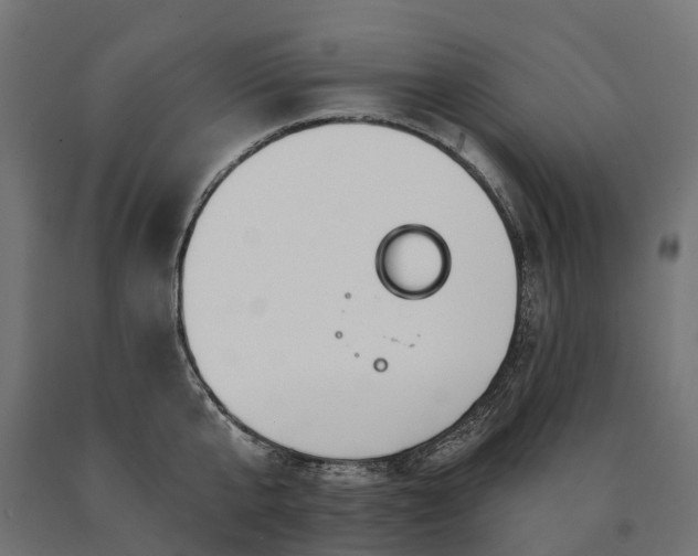 X0000090770807200708031651