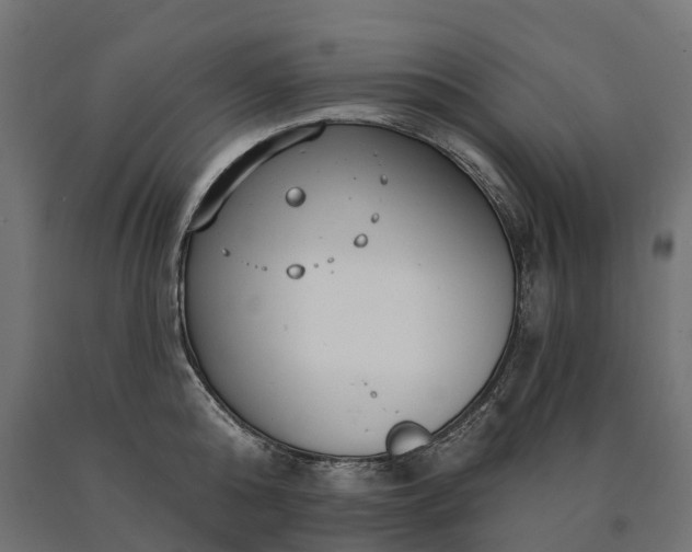 X0000090770808200708031651