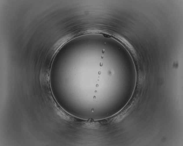 X0000090770809200708031651