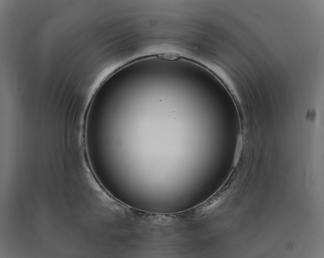 X0000090770815200708031651
