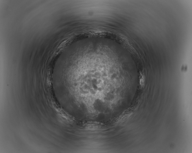 X0000090770819200708031650