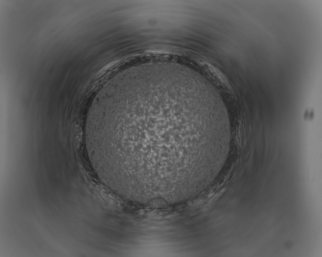 X0000090770821200708031650