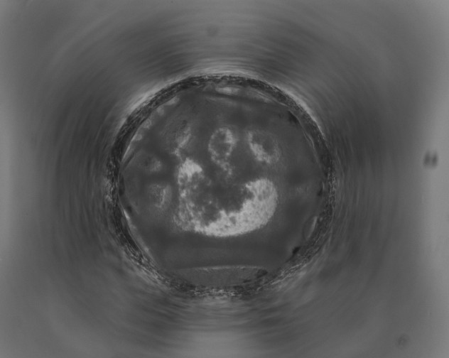 X0000090770823200708031650