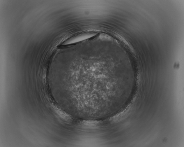 X0000090770825200708031651