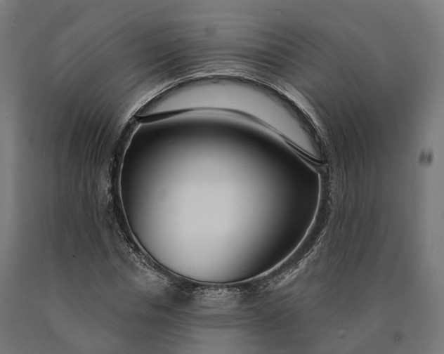 X0000090770826200708031651