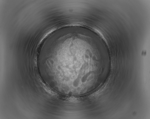 X0000090770827200708031651
