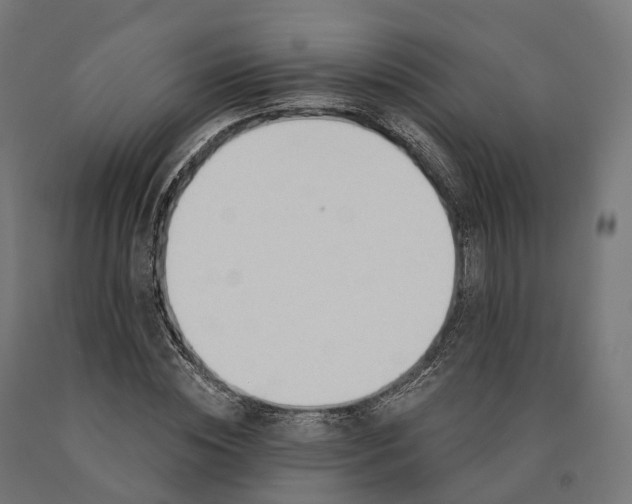X0000090770828200708031651