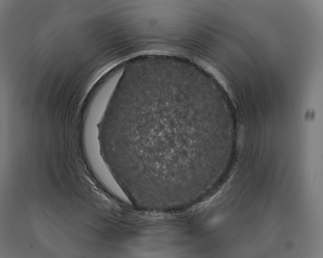 X0000090770829200708031651