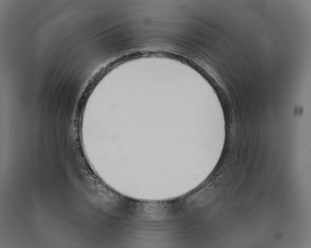 X0000090770832200708031651