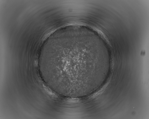 X0000090770833200708031651