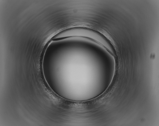 X0000090770834200708031651