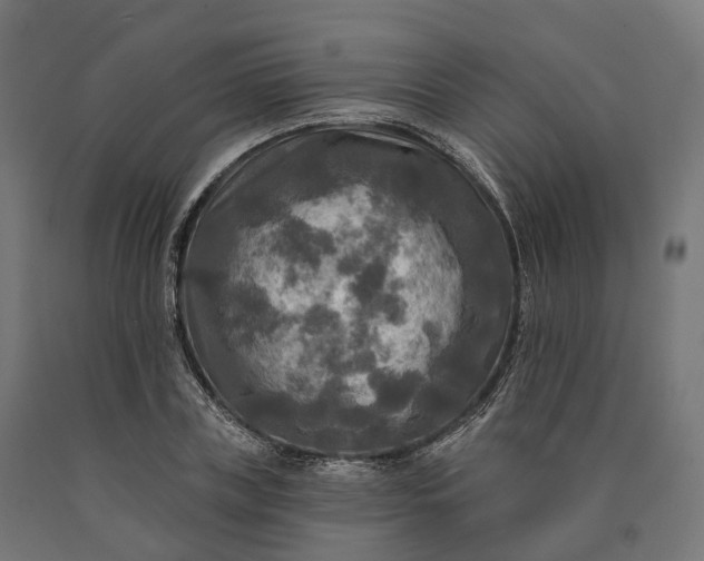 X0000090770835200708031651