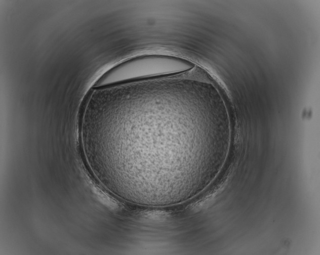 X0000090770837200708031651