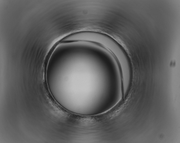 X0000090770838200708031651