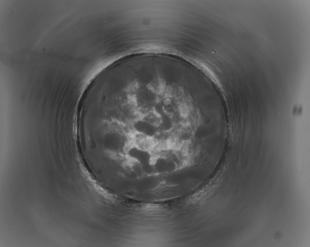 X0000090770839200708031651