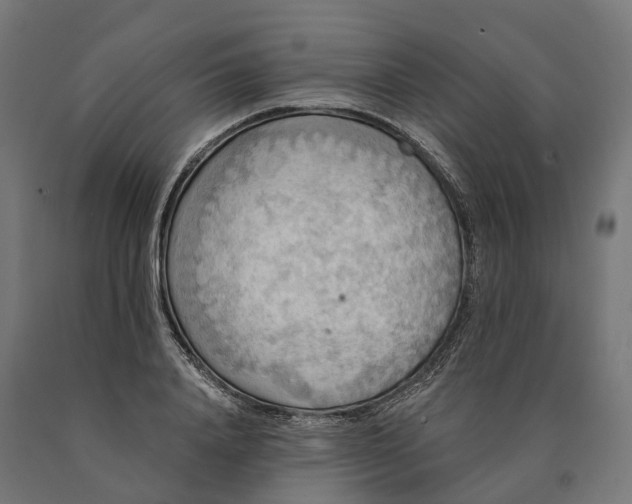X0000090770840200708031651