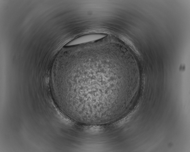 X0000090770841200708031651