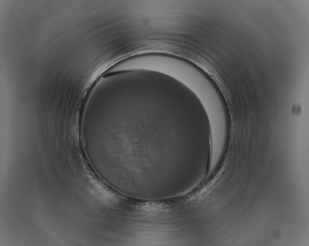 X0000090770842200708031651