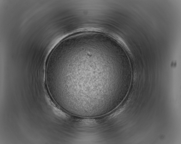 X0000090770844200708031651