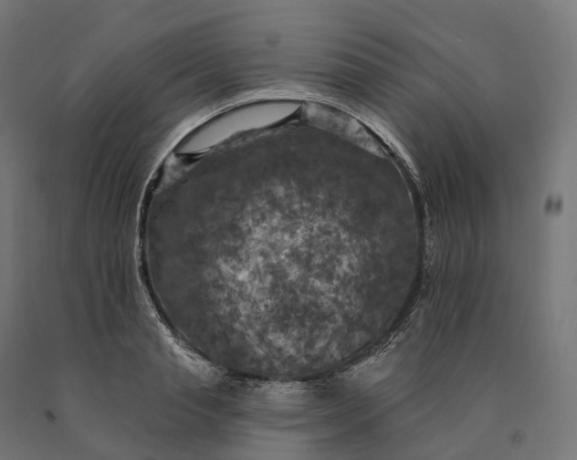 X0000090770845200708031651