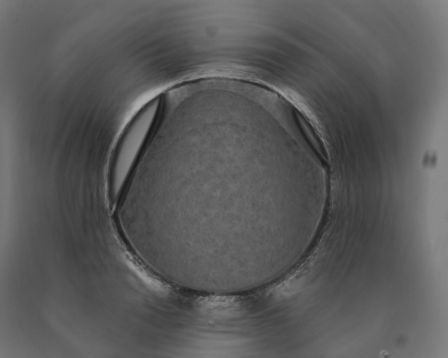 X0000090770846200708031651