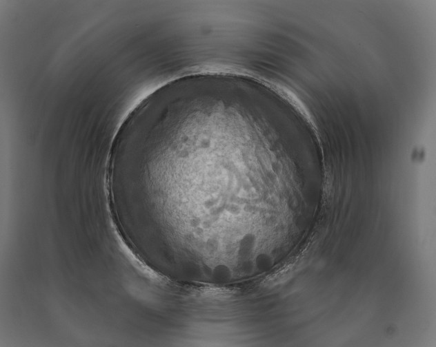 X0000090770847200708031651