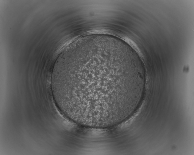 X0000090770849200708031651
