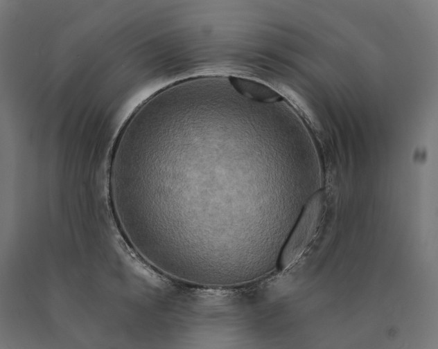 X0000090770854200708031651